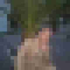 davidessite-0