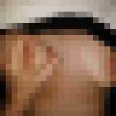 pichunters