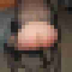 hasehase23