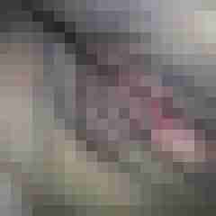 SweetAndDate