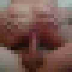Die_2_Nimmersatten