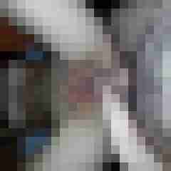 Die_2_Nimmersatten