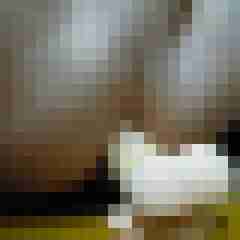 Hansie61