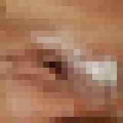 fickerfg