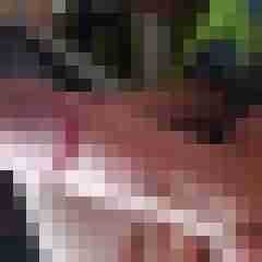 knallschote84