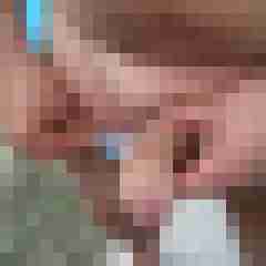 wolfi23
