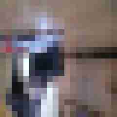 DWT_FAN