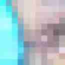 fussficker