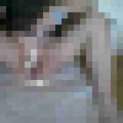 DWT_FAN