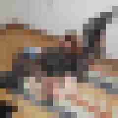 paarlustvoll07552