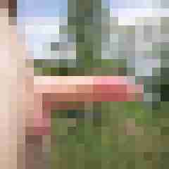 patte83