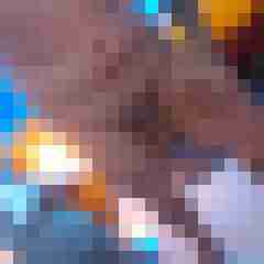 VerruecktesPaar8176