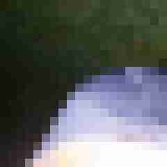 taucher72
