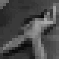 Phorus