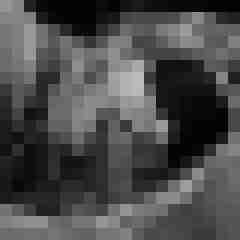 Phorus