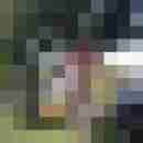 doggy0462