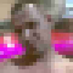 flov1