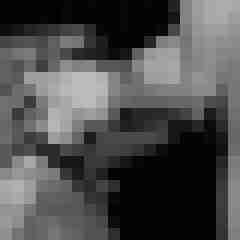 Phorus
