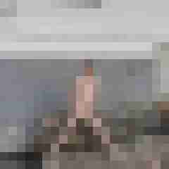 seemann0706