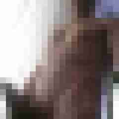 Hengst1031