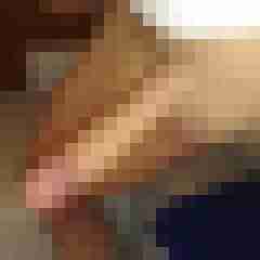 patte83