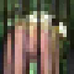 luna_mondgott