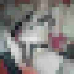 bipaarsuchtmwp