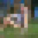 chris_iris