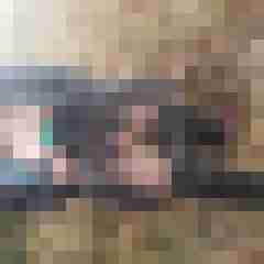 Dirty_Rabbits