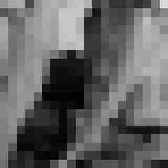 Phorus