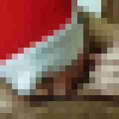 fickpaar55