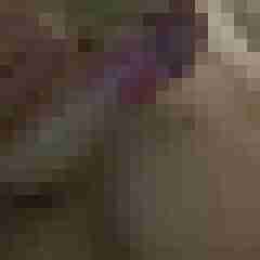 Chrismg555