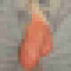 Ralle96