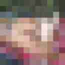 fussficker
