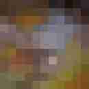 bipaar2011