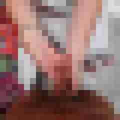 wolf_1b
