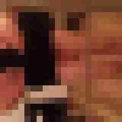 dwt-geiler
