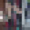 fussficker