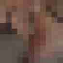 Carlchen