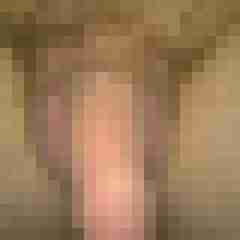 lustmolch79