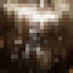 pichunters