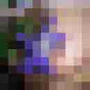 fussficker