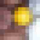 fussficker