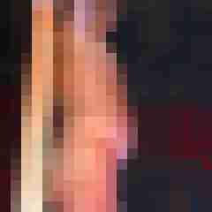 stierodin53