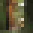 gerrycn