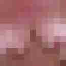 pauer6