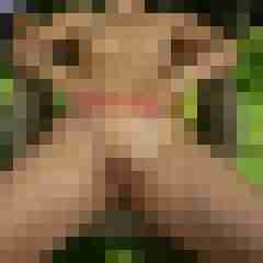sexyehepaar