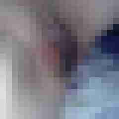 Pe_St2015