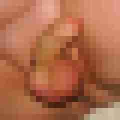 robertbilive