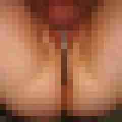 robertbilive